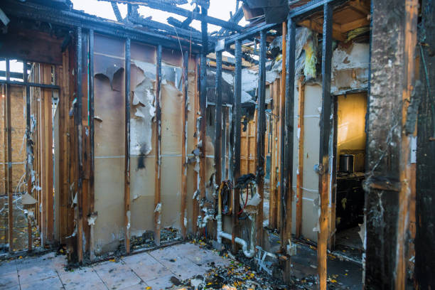 Professional Fire Damage Repair technician working in Forestville, CA